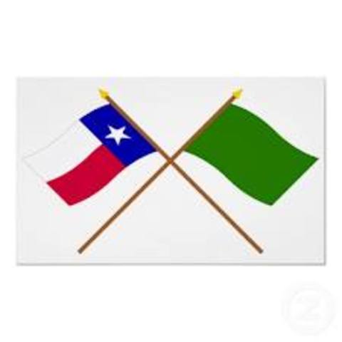 Green Flag (Gutierrez-Magee Exp.)