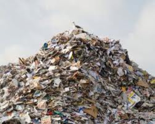 Проверка на свалке