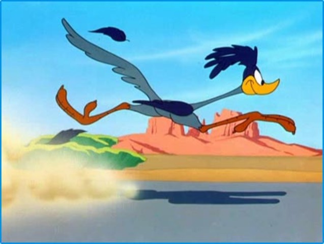 Roadrunner Named State Bird