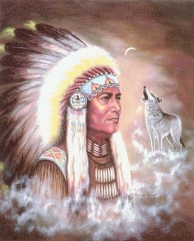 La Teoria de los indios  cherokees