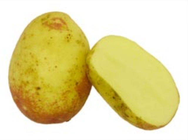 Skolmat började serveras i skolorna