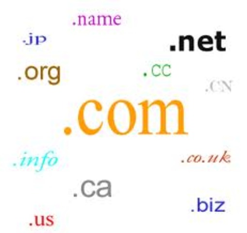 Domain Name System