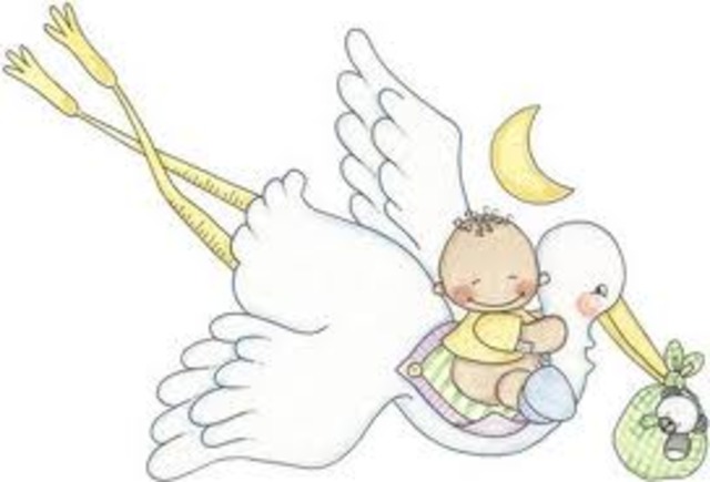 Bienvenido al mundo !