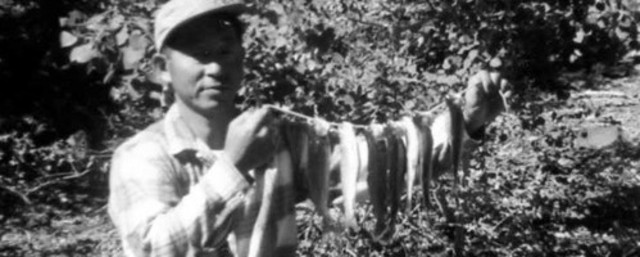 Fishing In The Attack