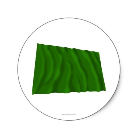 Green Flag (Guitierrez-Magee Exp.)