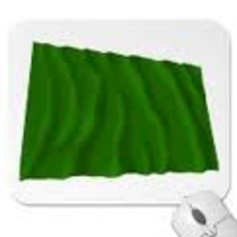 Green Flag (Gutierrez-Magee Exp.)