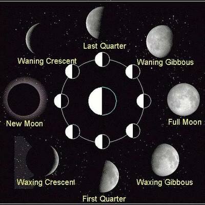 Timeline: November Moon Phases