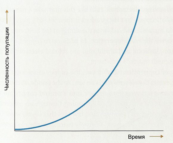 exponential growth