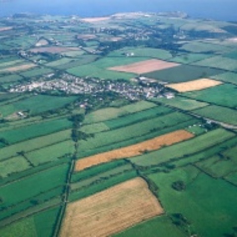 Equal field system / Juntian System (Economic)