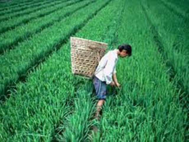 Argricultural Changes