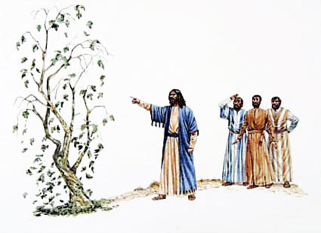 Jesus Returns to the Jerusalem Temple and Curses the Fig Tree