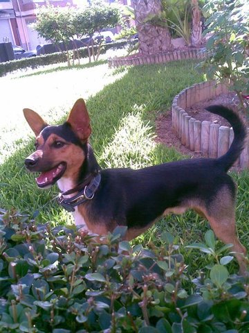 un nuevo miembro en la familia