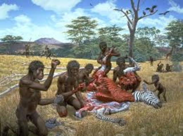 HOMO HÁBILIS (1.600.000 años)