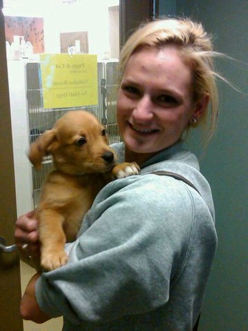 Got my very own puppy Hunter!