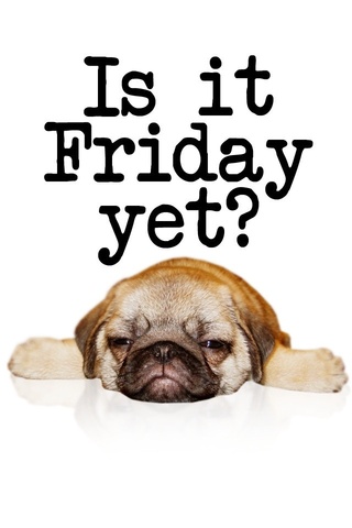 Level 1: Free Fridays