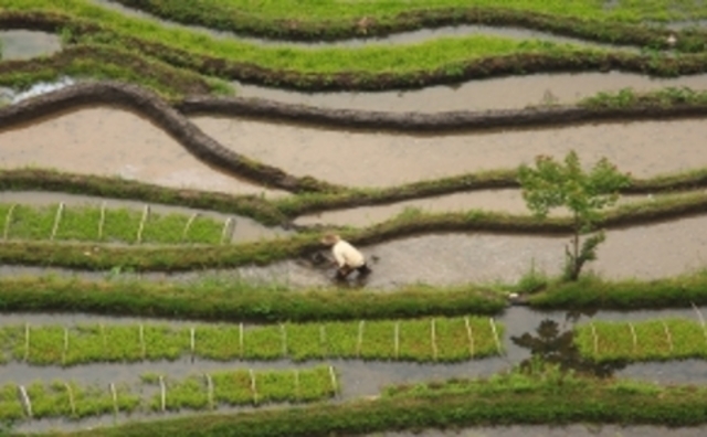 (Economical)Equal-field system