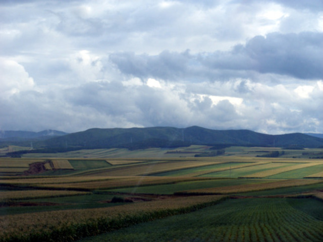 Agruiculture (Social)