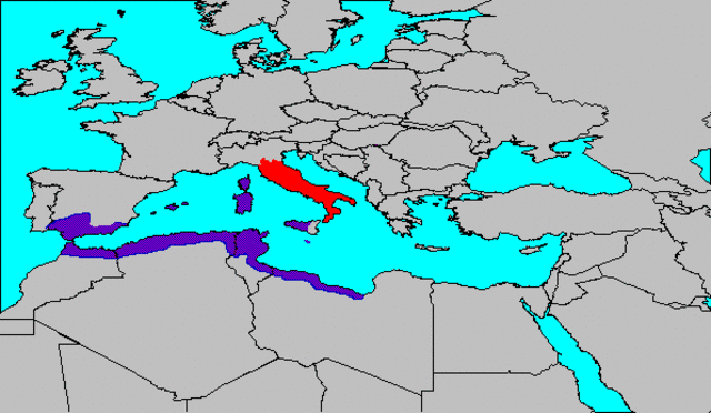 Rome's Territory Before Punic Wars