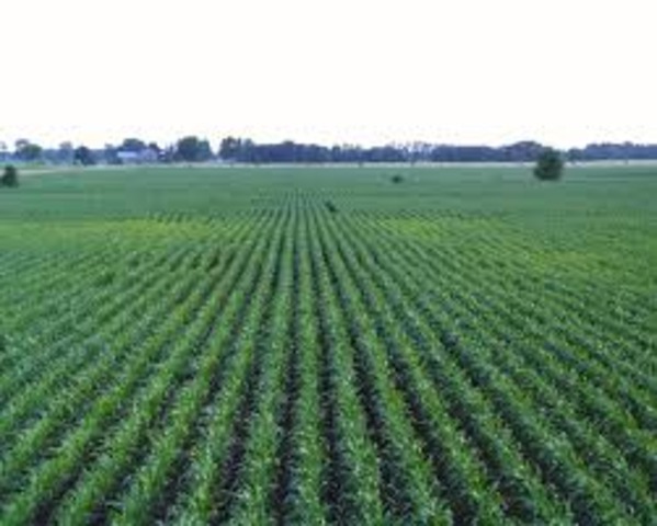 [Economical] Land distribution & Tax moderation