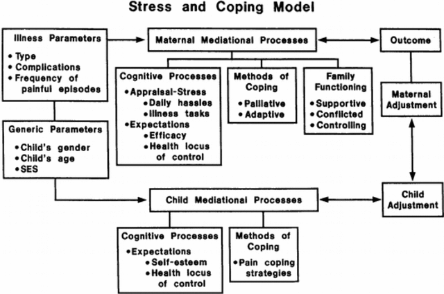 Transactional Model of Stress and Coping  Lazarus, Cohen
