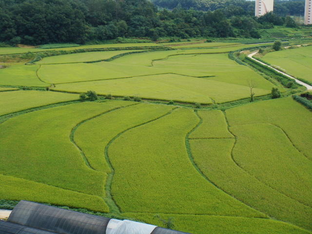 (Economical) Equal Field System