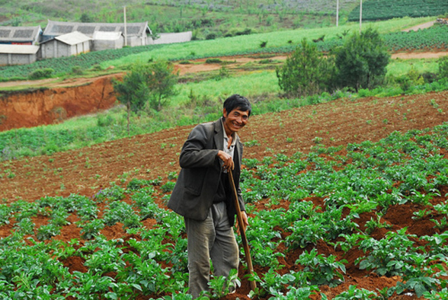 Juntian System (Economy)