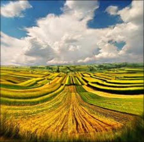 900: Agricultural revolution