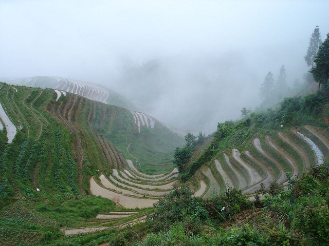 Agriculture Flourish