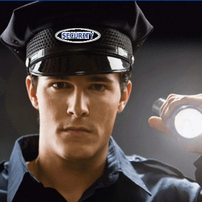 Timeline: SEGURIDAD PRIVADA