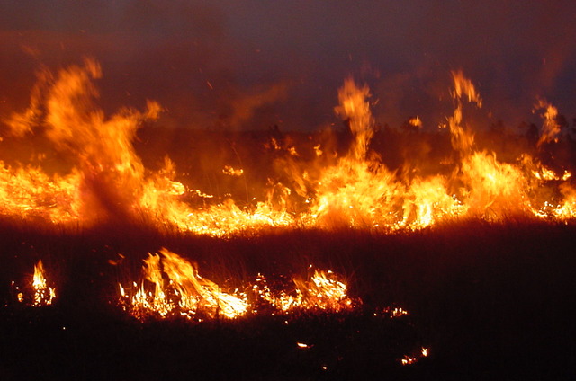 Mrs. Shacter sees a fire