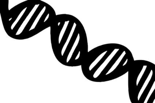 first recombinant DNA organism created
