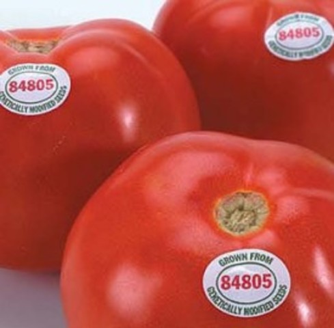 first GM food approved for commercial production