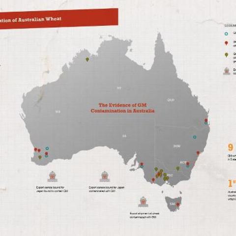 several countries pass laws requiring GM food labels