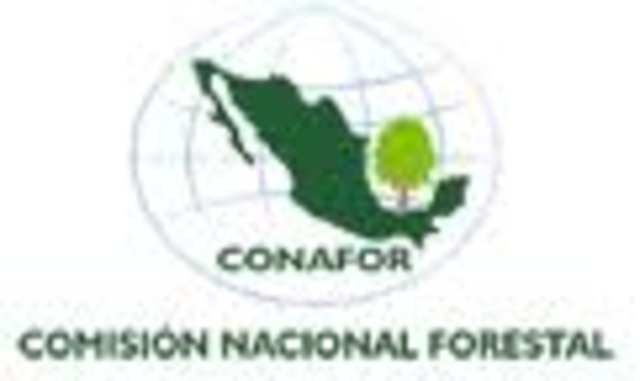 se crea el Servicio Nacional Forestal