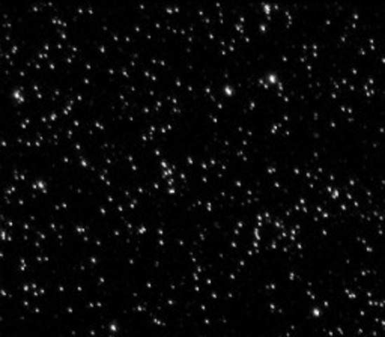 Galileo Builds the first functioning Telescope