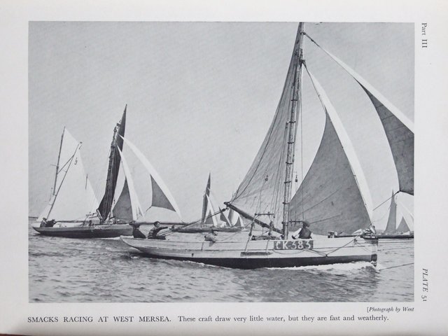 peter begins to build