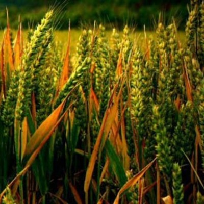 Timeline: Moments in Government