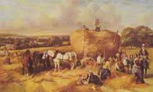 Agricultural revolution