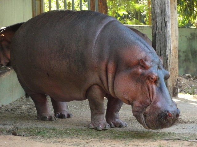 It was my sister's birthday Michele Martins and went to the cinema with some friends of ours, then we went to the Zoo From Pampulha