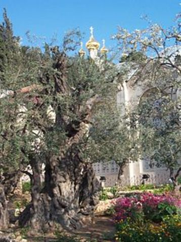 Gethsemane (Part 1)