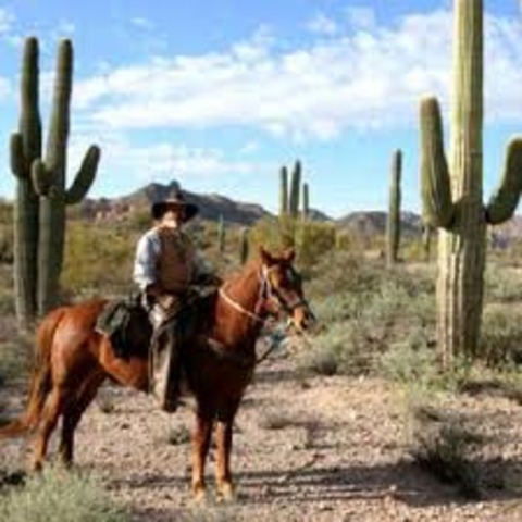 Arizona was first explored by the Spanish
