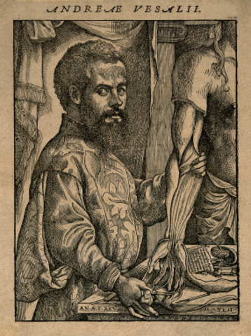 Andreas Versalius