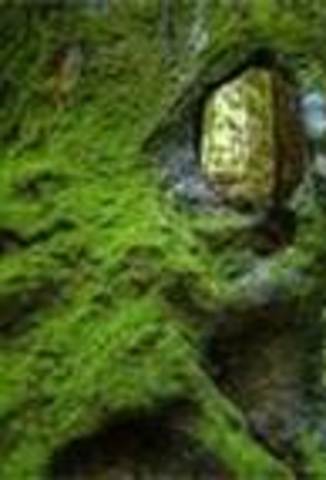 Bilbo and Co. start looking for the secret door.