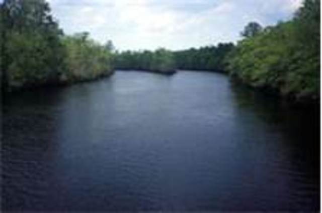 Bombur the fatty, fell in the black river.