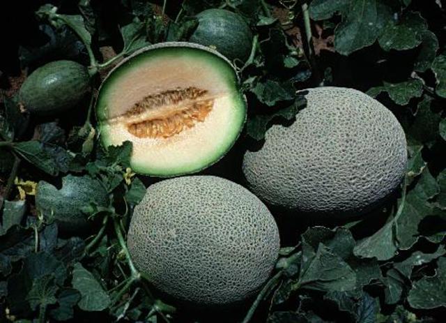 Mi graduación de 2º de bachillerato