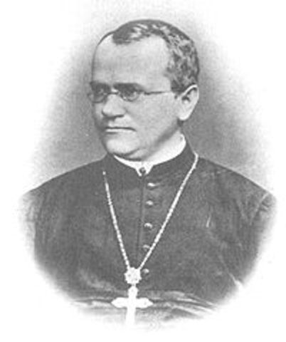Gregor Mendel- Geboorte