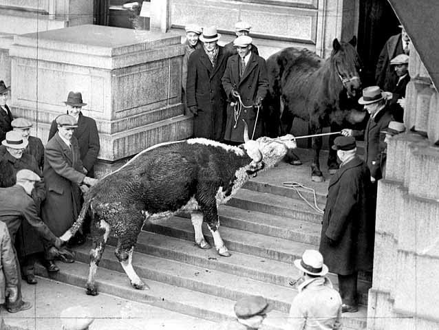 orginizing farmers protest