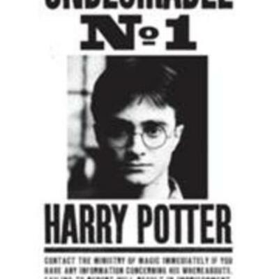 Timeline: Harry Potter Timeline