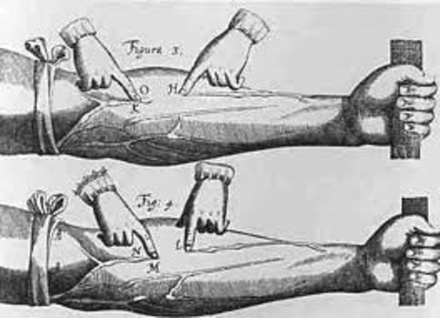 On the Movement of the Heart and the Blood