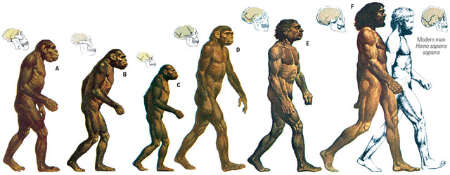 Scopes v. State of Tennessee